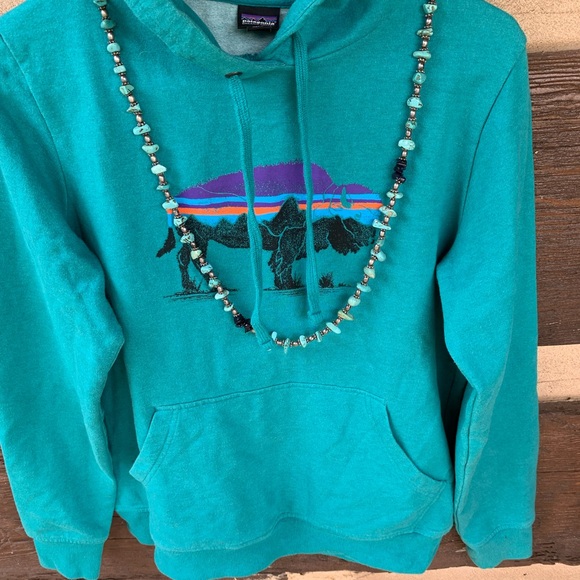 Patagonia S organic cotton Teal Hoodie bison Graphic sweatshirt buffalo pullover - Picture 3 of 7